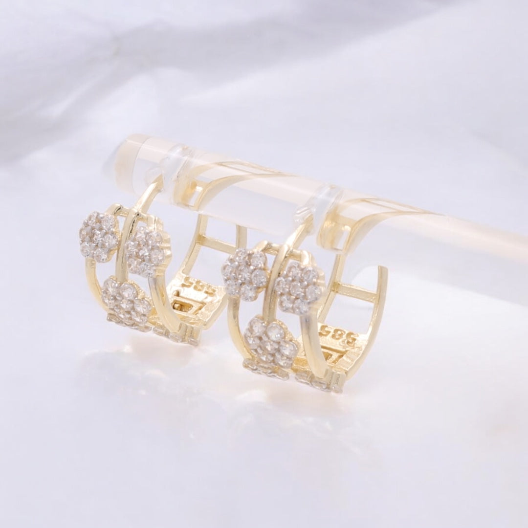14K Yellow Gold Fashion Hoop Earrings