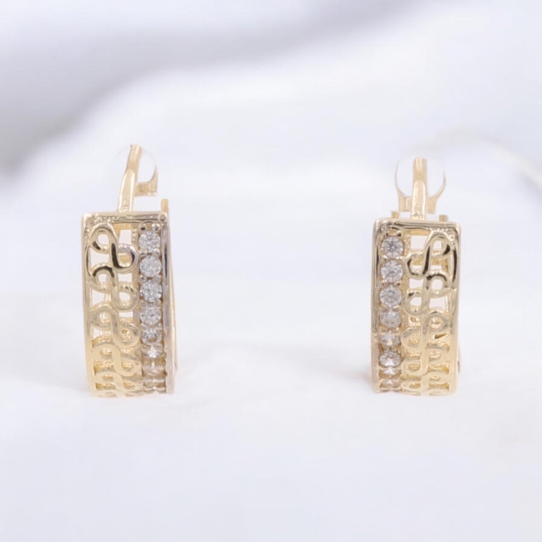 14K Yellow Gold Fashion Hoop Earrings