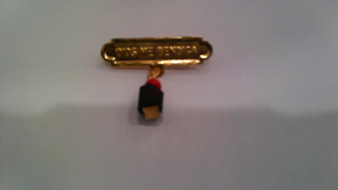 14K Yellow Gold Azabache Pin