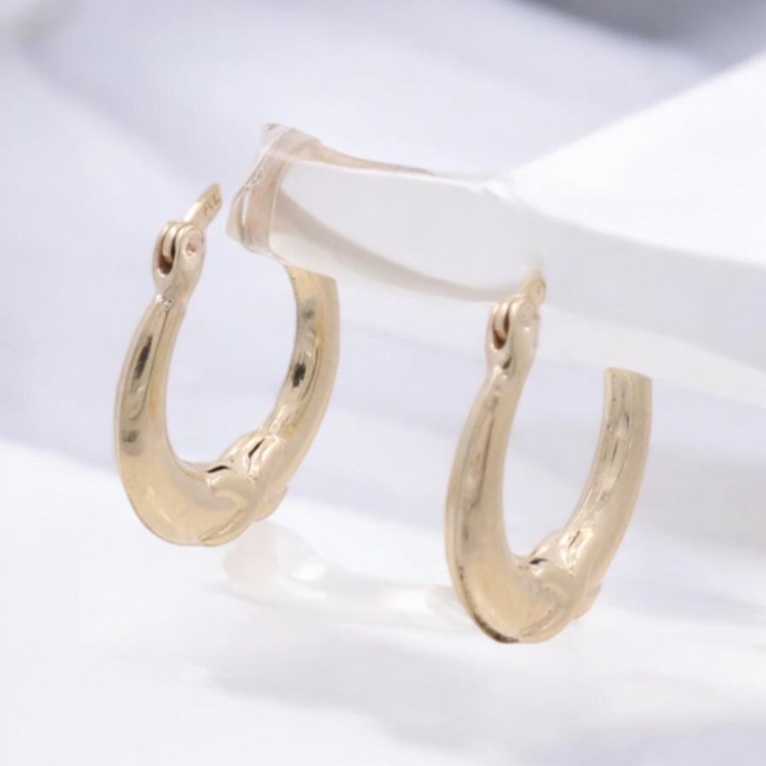 10K Yellow Gold Fashion Hoop Earrings