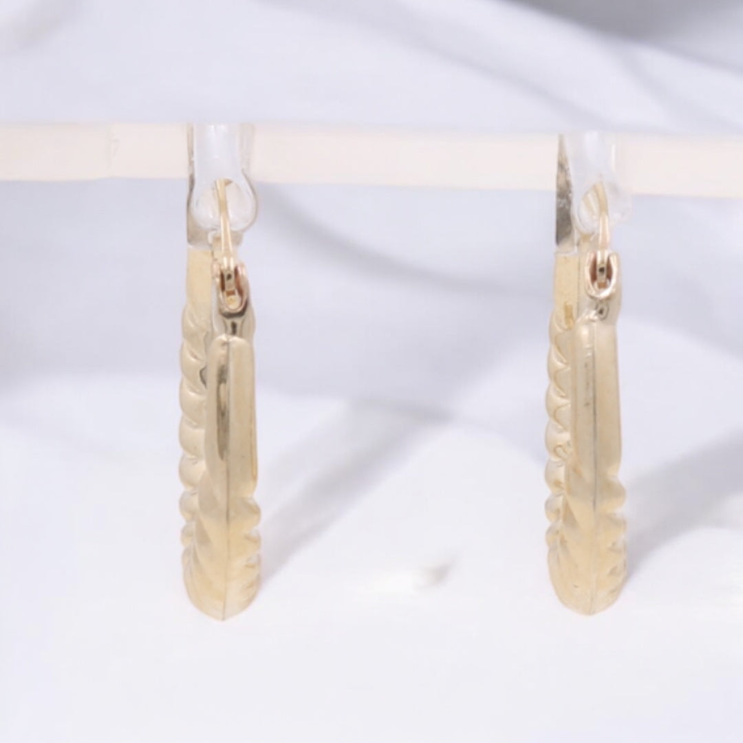 10K Yellow Gold Fashion Hoop Earrings