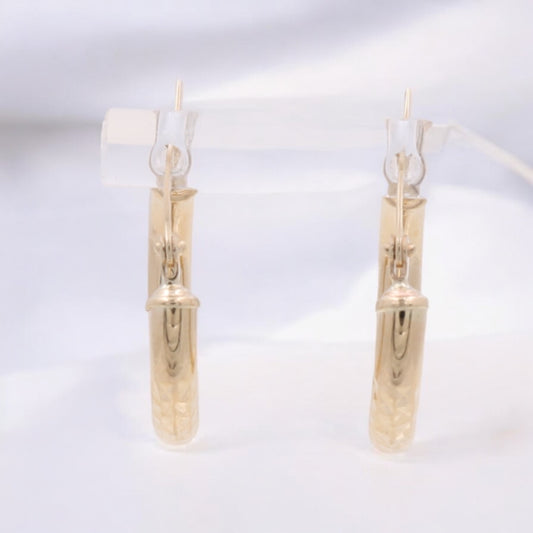 14K Yellow Gold Fashion Hoops Earrings