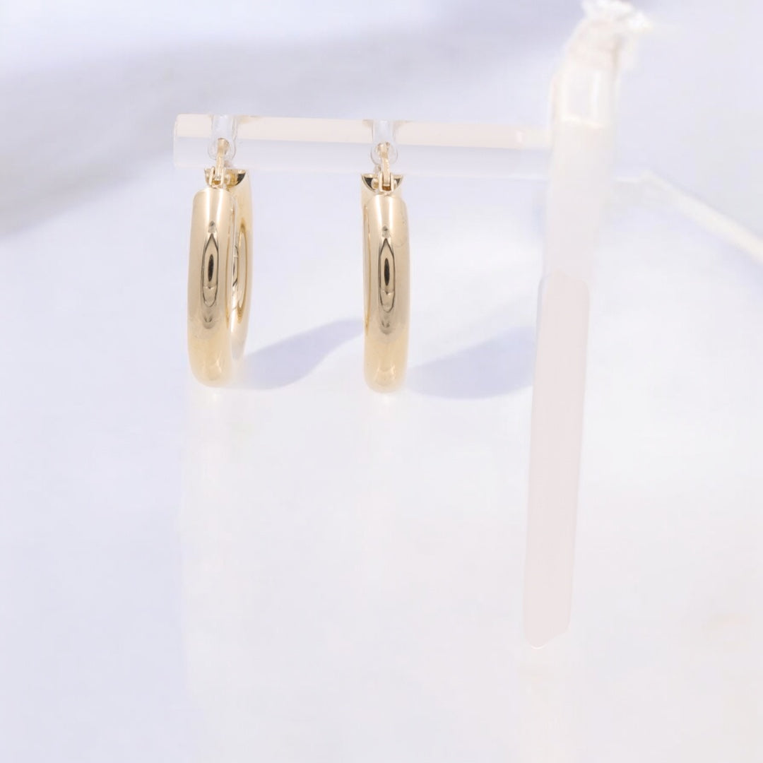 14K Yellow Gold Fashion Hoops Earrings