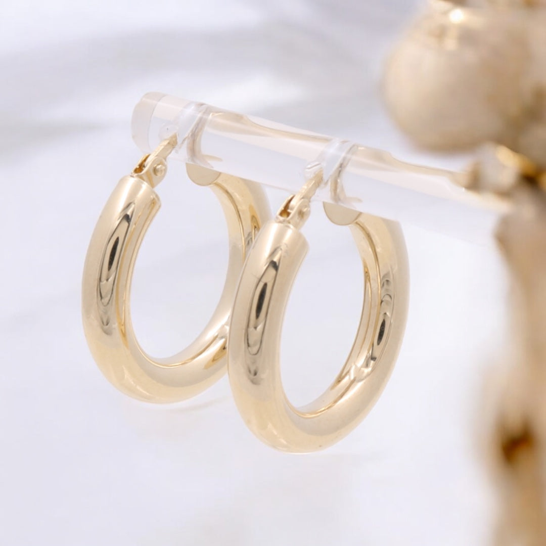 14K Yellow Gold Fashion Hoops Earrings
