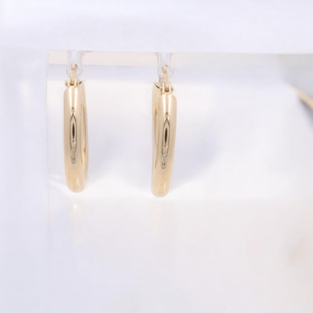14K Yellow Gold Fashion Hoops Earrings