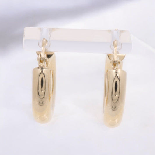 14K Yellow Gold Fashion Hoops Earrings