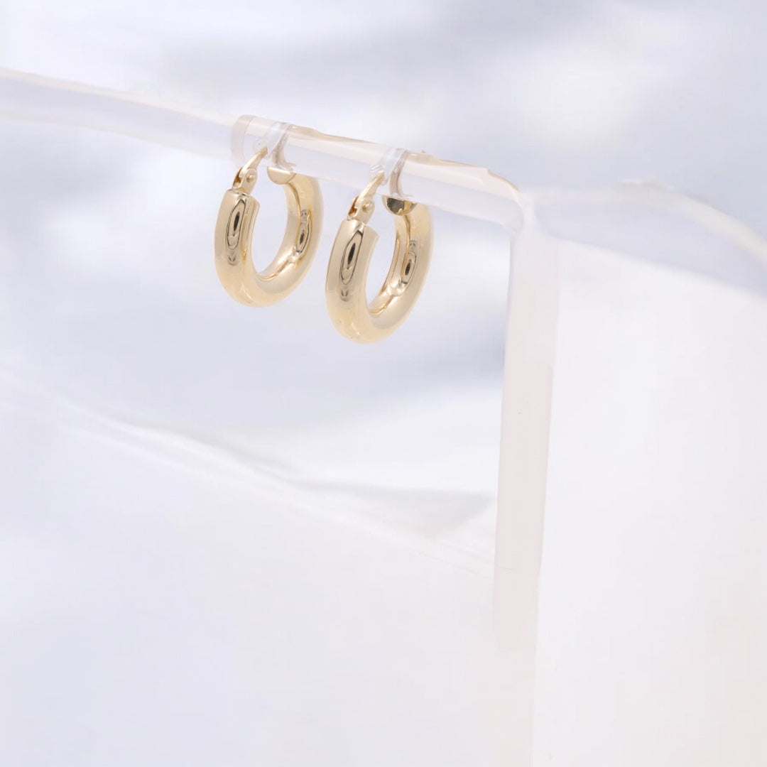 14K Yellow Gold Fashion Hoops Earrings