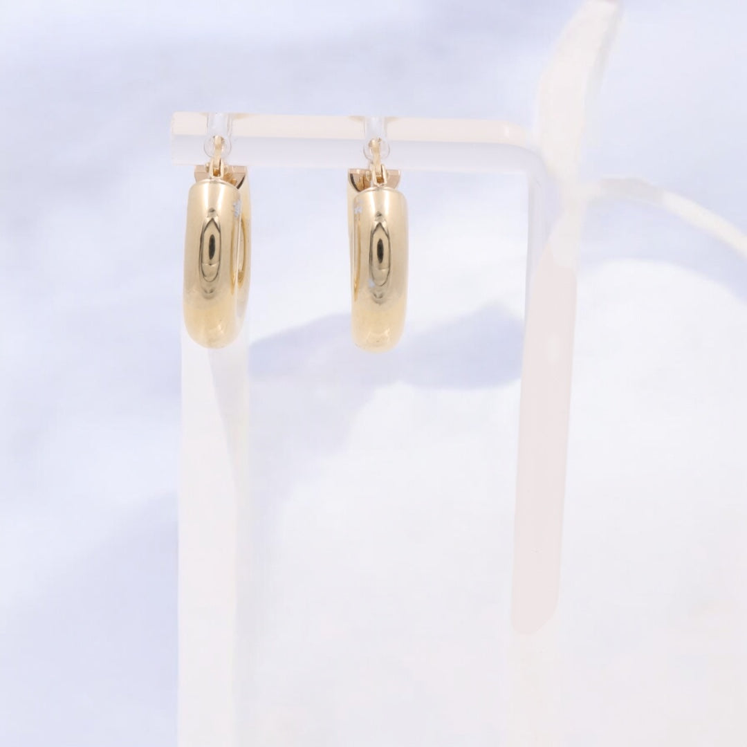 14K Yellow Gold Fashion Hoops Earrings