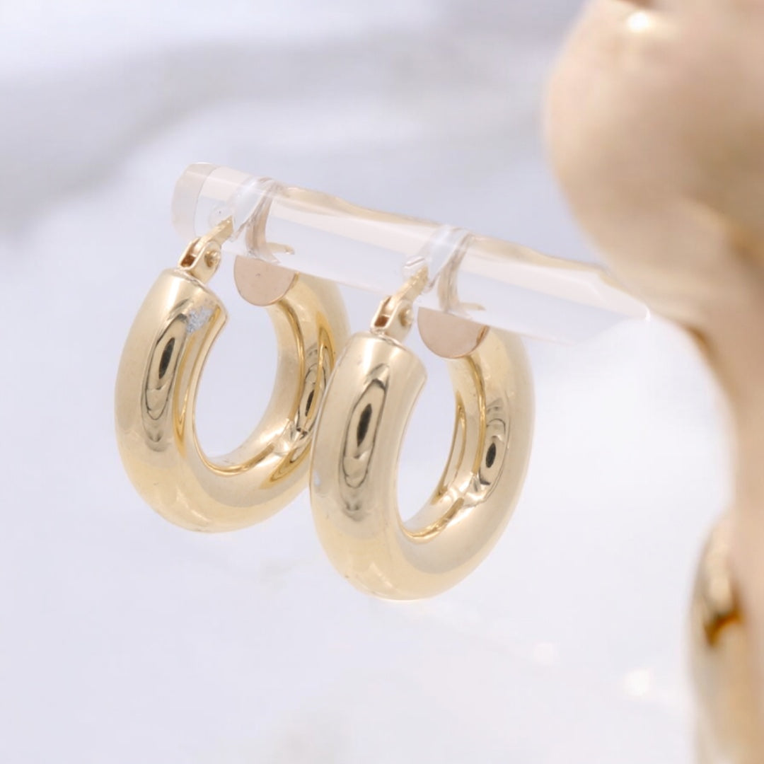 14K Yellow Gold Fashion Hoops Earrings