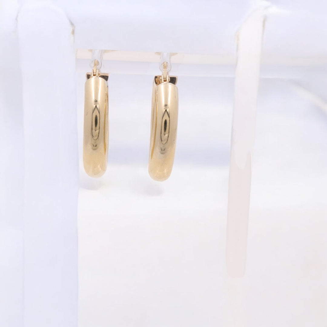 14K Yellow Gold Fashion Hoops Earrings