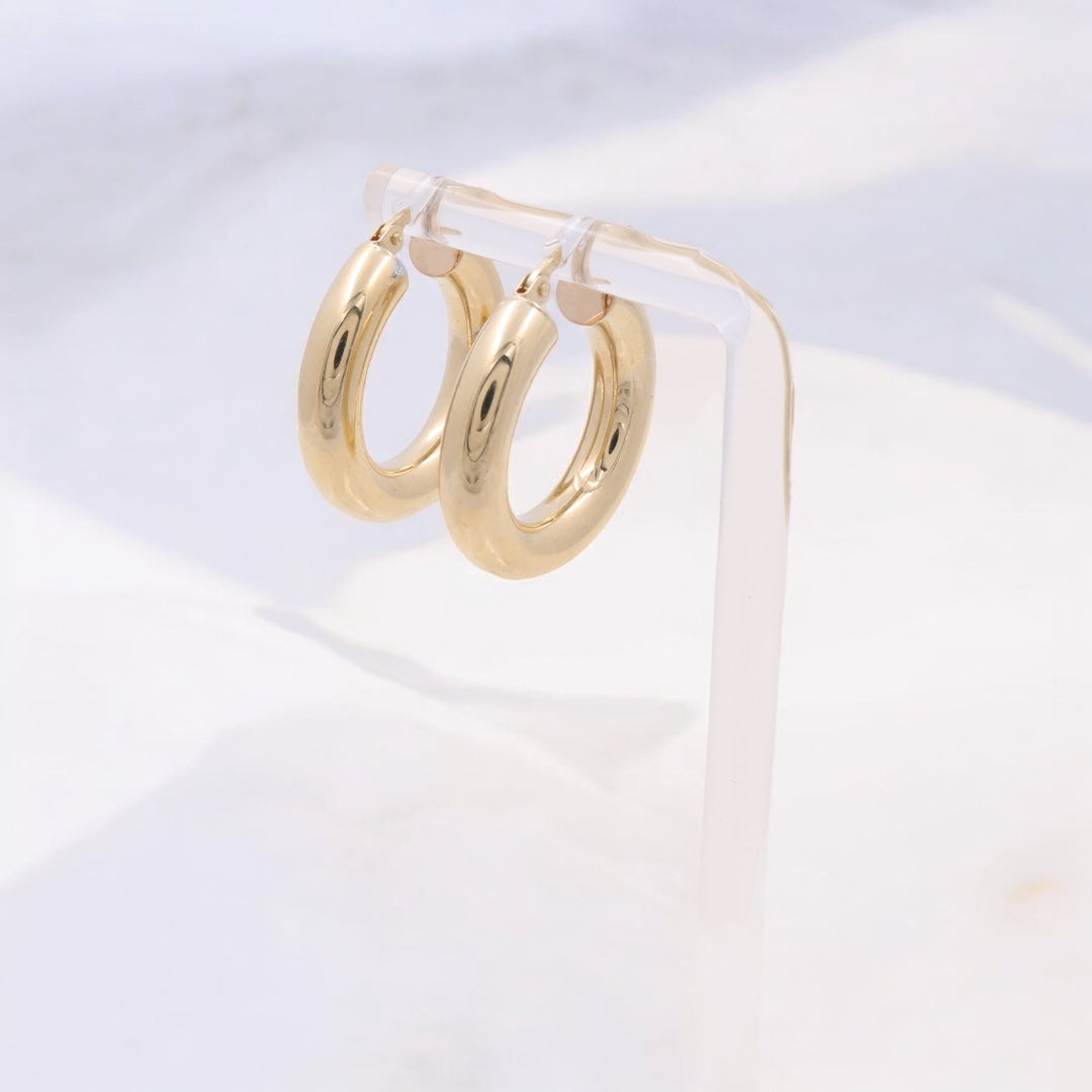 14K Yellow Gold Fashion Hoops Earrings