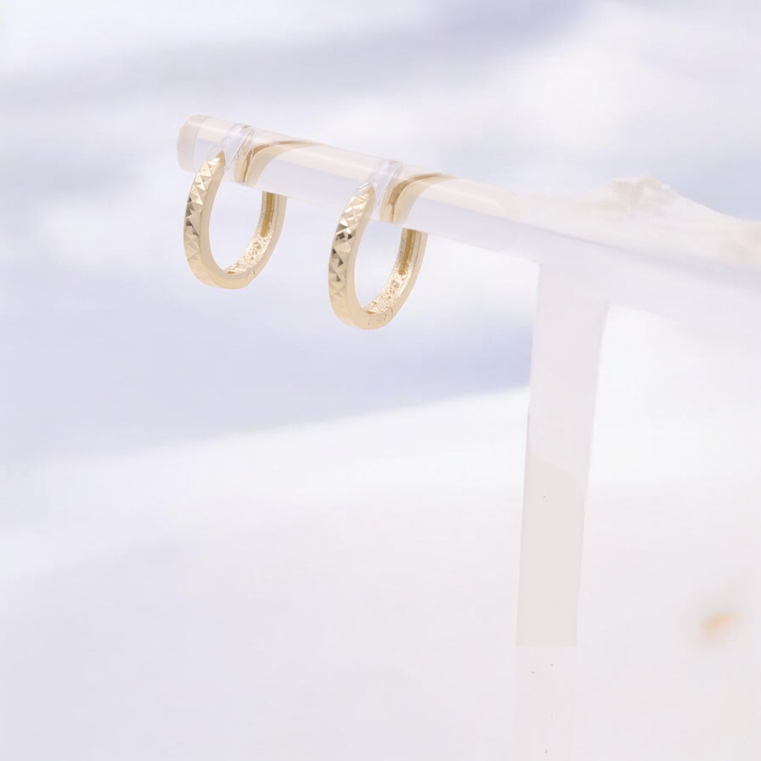 14K Yellow Gold Fashion Hoop Earrings