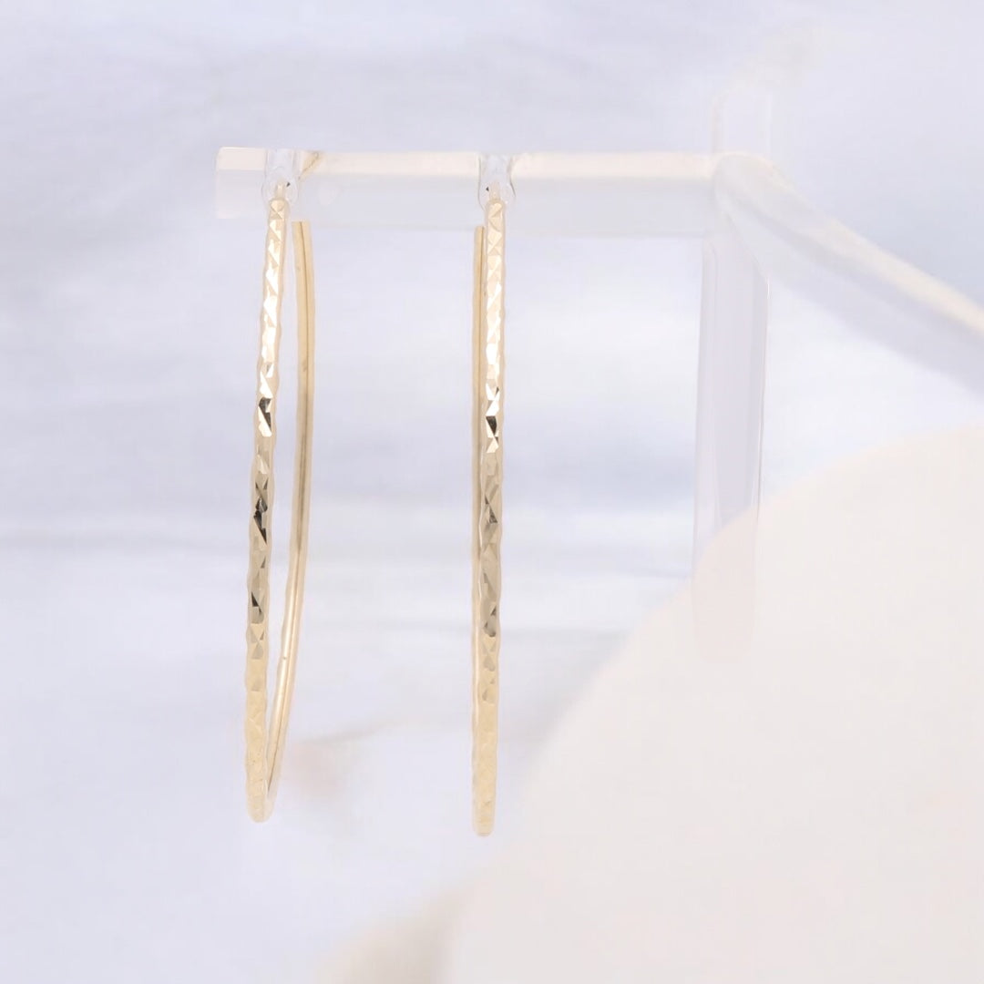 14K Yellow Gold Fashion Hoop Earrings