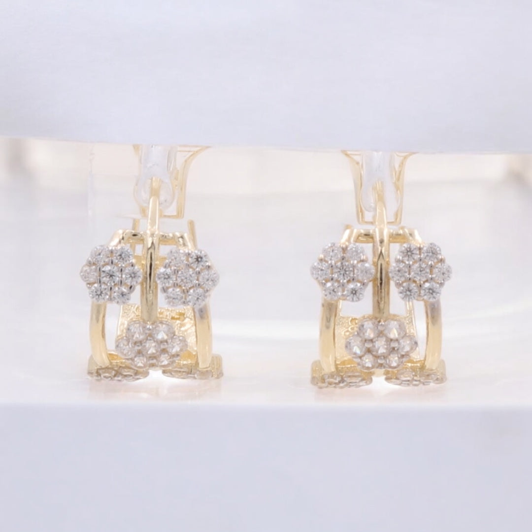 14K Yellow Gold Fashion Hoop Earrings