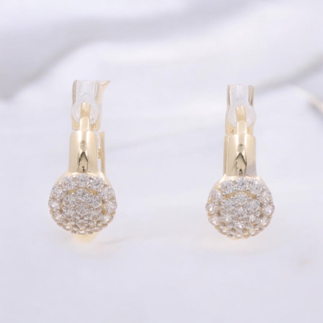 14K Yellow Gold Fashion Hoop Earrings