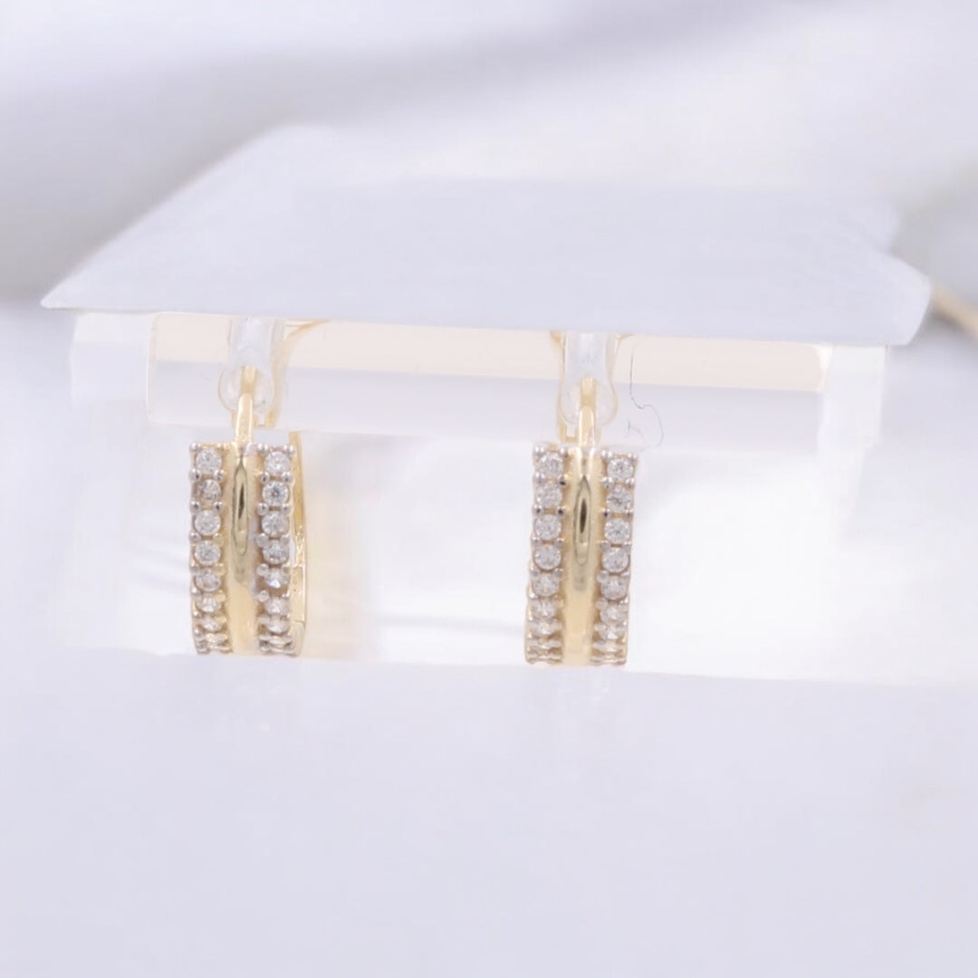 14K Yellow Gold Fashion Hoop Earrings