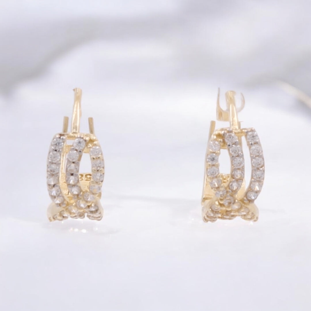 14K Yellow Gold Fashion Hoop Earrings