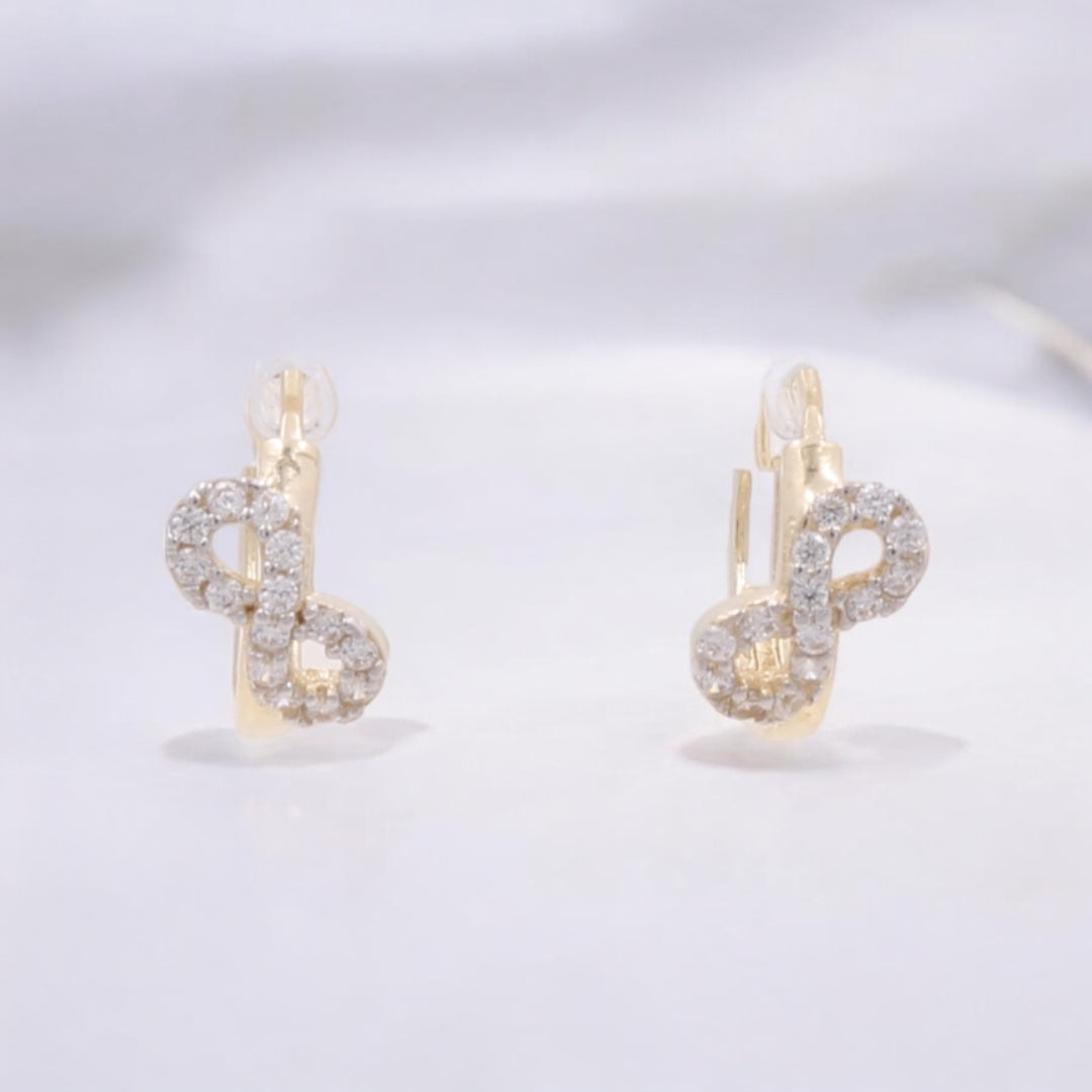 14K Yellow Gold Fashion Hoop Earrings