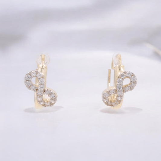 14K Yellow Gold Fashion Hoop Earrings