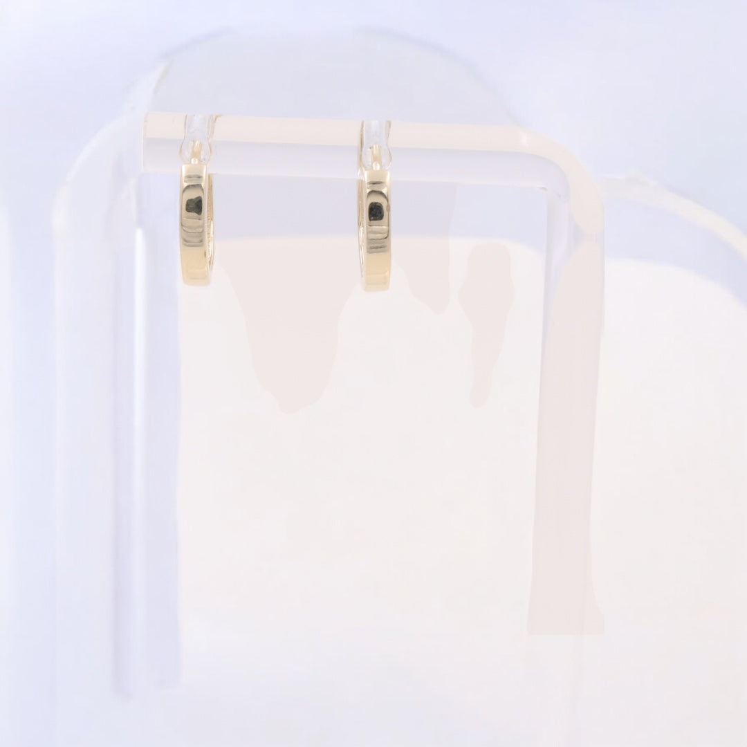 14K Yellow Gold Fashion Hoop Earrings