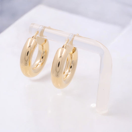 14K Yellow Gold Fashion Hoop Earrings