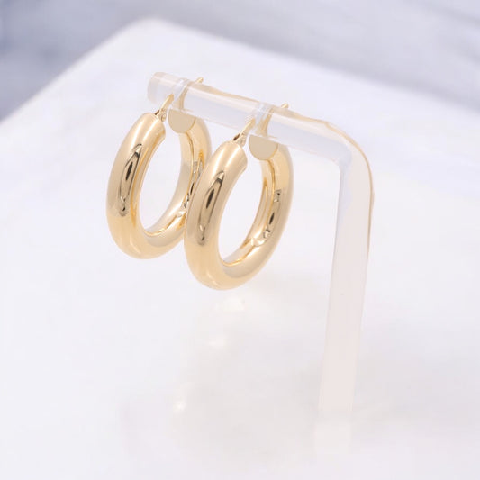 14K Yellow Gold Fashion Hoop Earrings